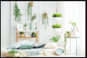 Jardinière Aesthetic