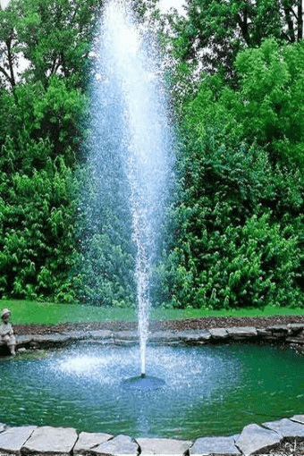 Five Water Plants That Will Be Perfect For Your Fountain Pond Oasis
