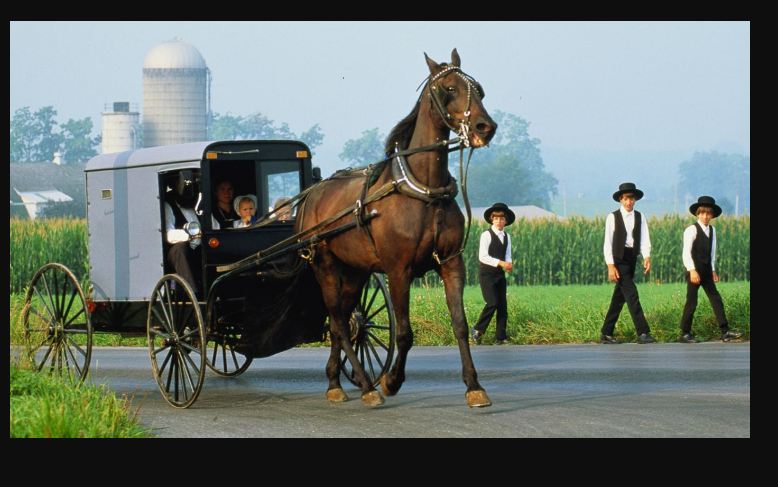 Amish Oil Change Meaning