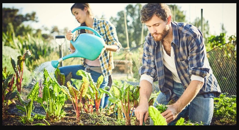 5 Green-Thumbed Side Hustles: Turning Your Gardening Passion into Profit