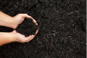 Mulch