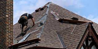 professional roofing services