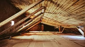 attic mold treatment