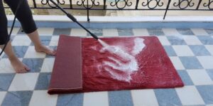 Washable Rugs