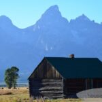 Black Barns