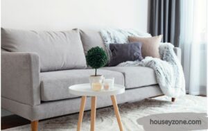 Sofa with Grey Carpet