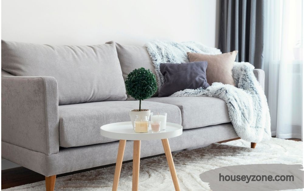Sofa with Grey Carpet