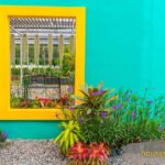 border for plants